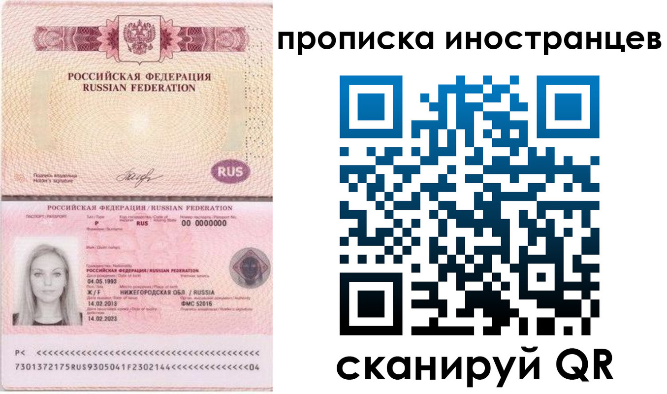 прописка поиск в Купино